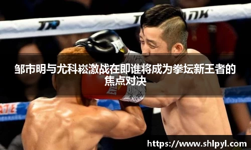 邹市明与尤科崧激战在即谁将成为拳坛新王者的焦点对决